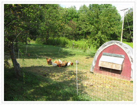 Bagdes-Canning Home & Farm